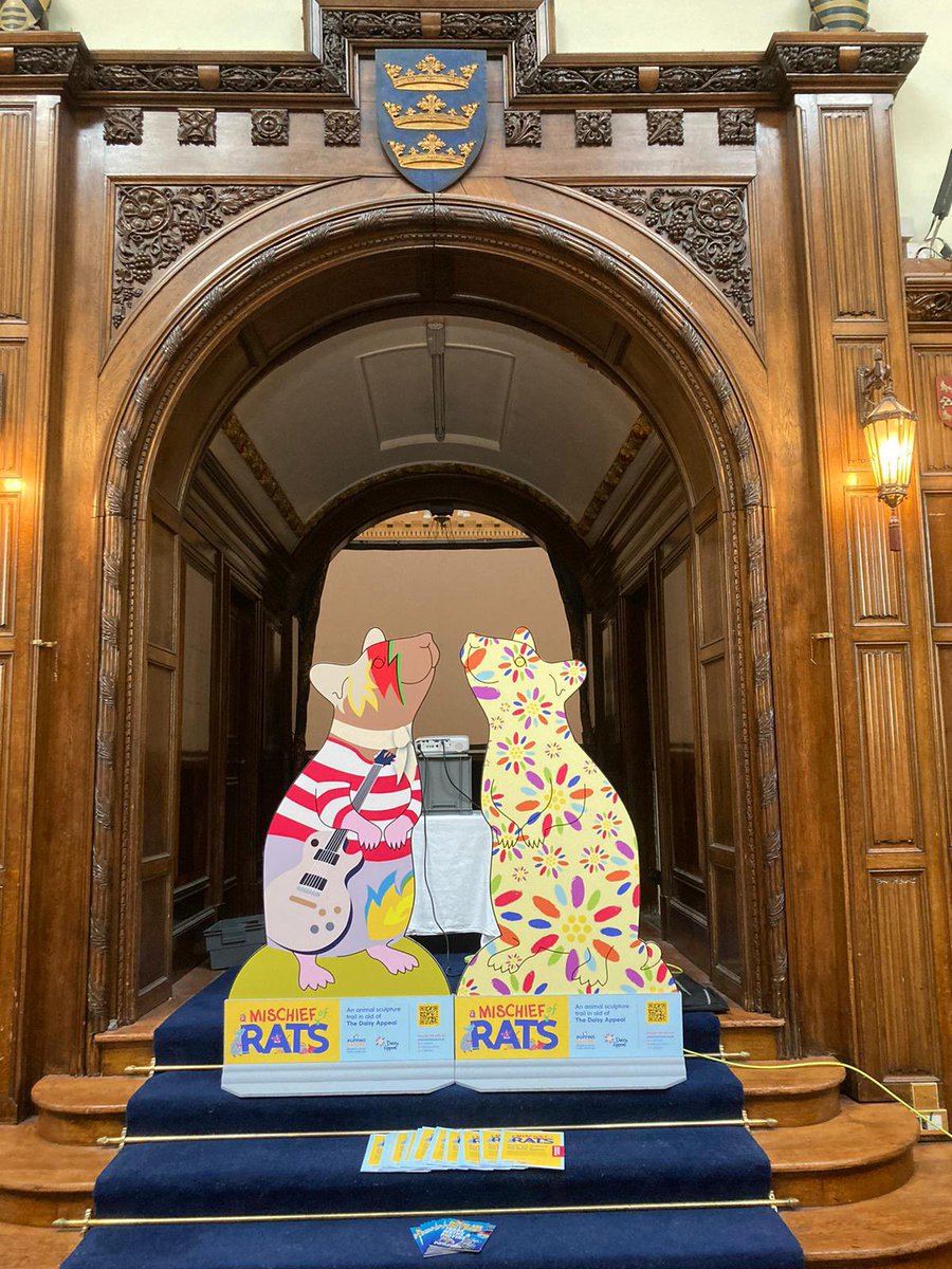 There are Rats at the Guildhall! The Mischief are attending the Hull City Council Business Breakfast this morning. #fundraising #DaisyAppeal