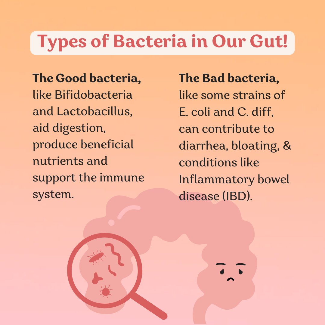 Poshan_health's tweet image. Types of bacteria in our gut.🦠 #gutmicrobiome #goodbacteria #badbacteria #poshanhealth