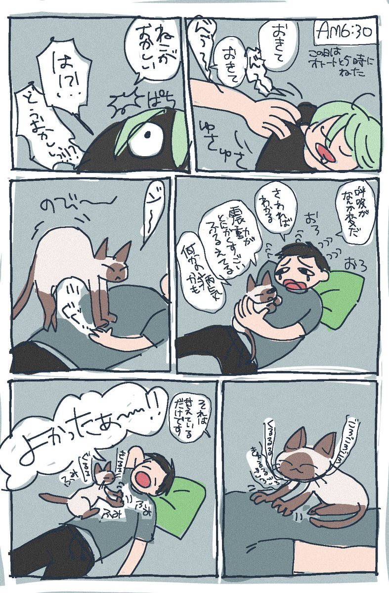ozwsakesake's tweet photo. 知らないと異変だと思うよね https://t.co/n2X6N7aSIC