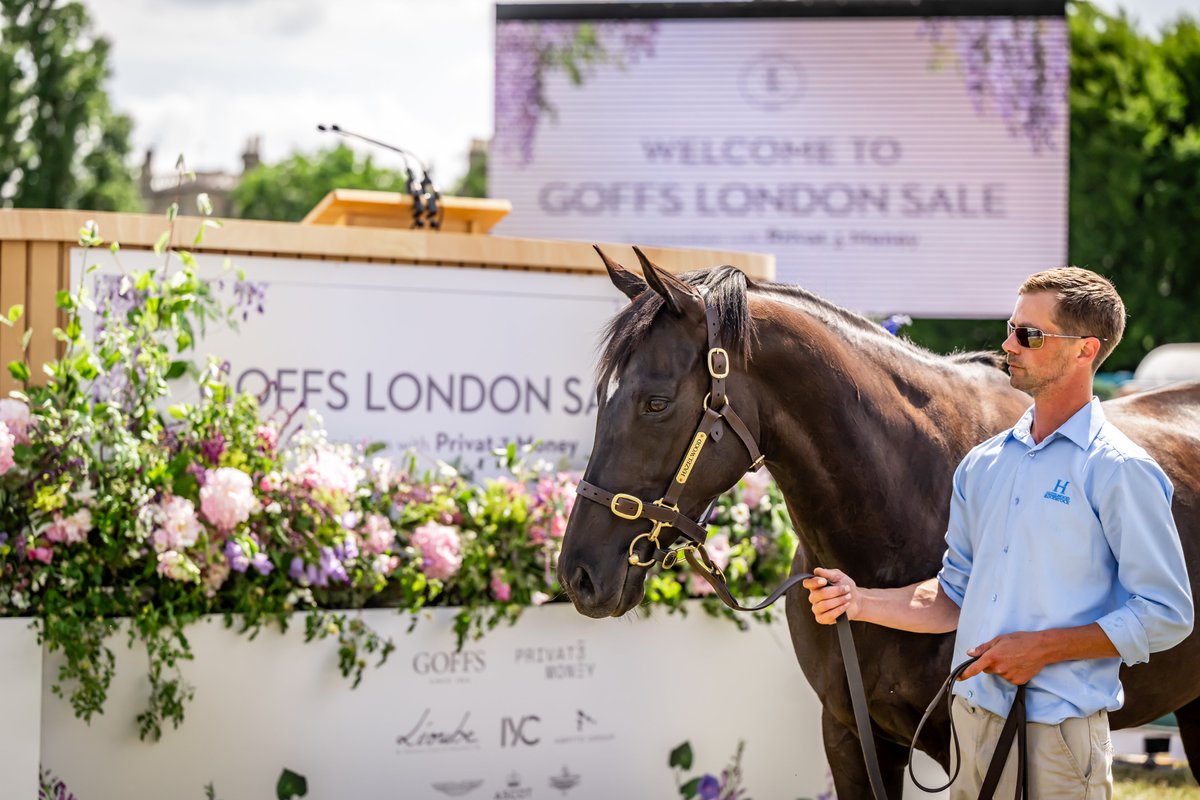 Privat3Money's tweet photo. Ever dreamed of owning a racehorse? 🏇💙 

Join @Privat3Money and @Goffs1866 for an exclusive event at Kensington Palace Gardens on the eve of @Ascot. 

Imagine buying a horse ready to race at the prestigious @RoyalAscot that same week! 🥂

#Privat3Money #GoffsLondon | June 17 📣 https://t.co/ejPpZjYoWU