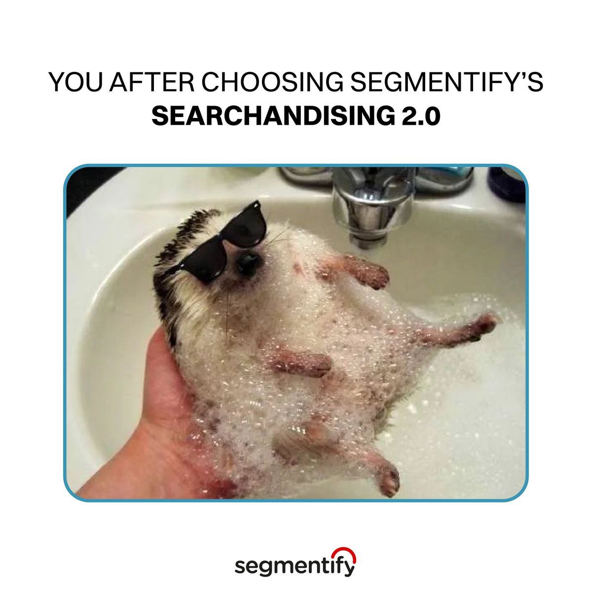segmentify's tweet image. Suddenly your skin is clear, your crops are flourishing, the sun is shining, wow!!!!!!!

#searchandizing #searchbox #digitalmarketing #ecommerce #internalsearchengine