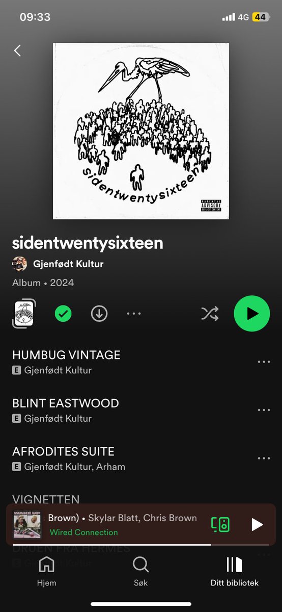 GRANDLINE PAPI🏴‍☠️👑 tweet media