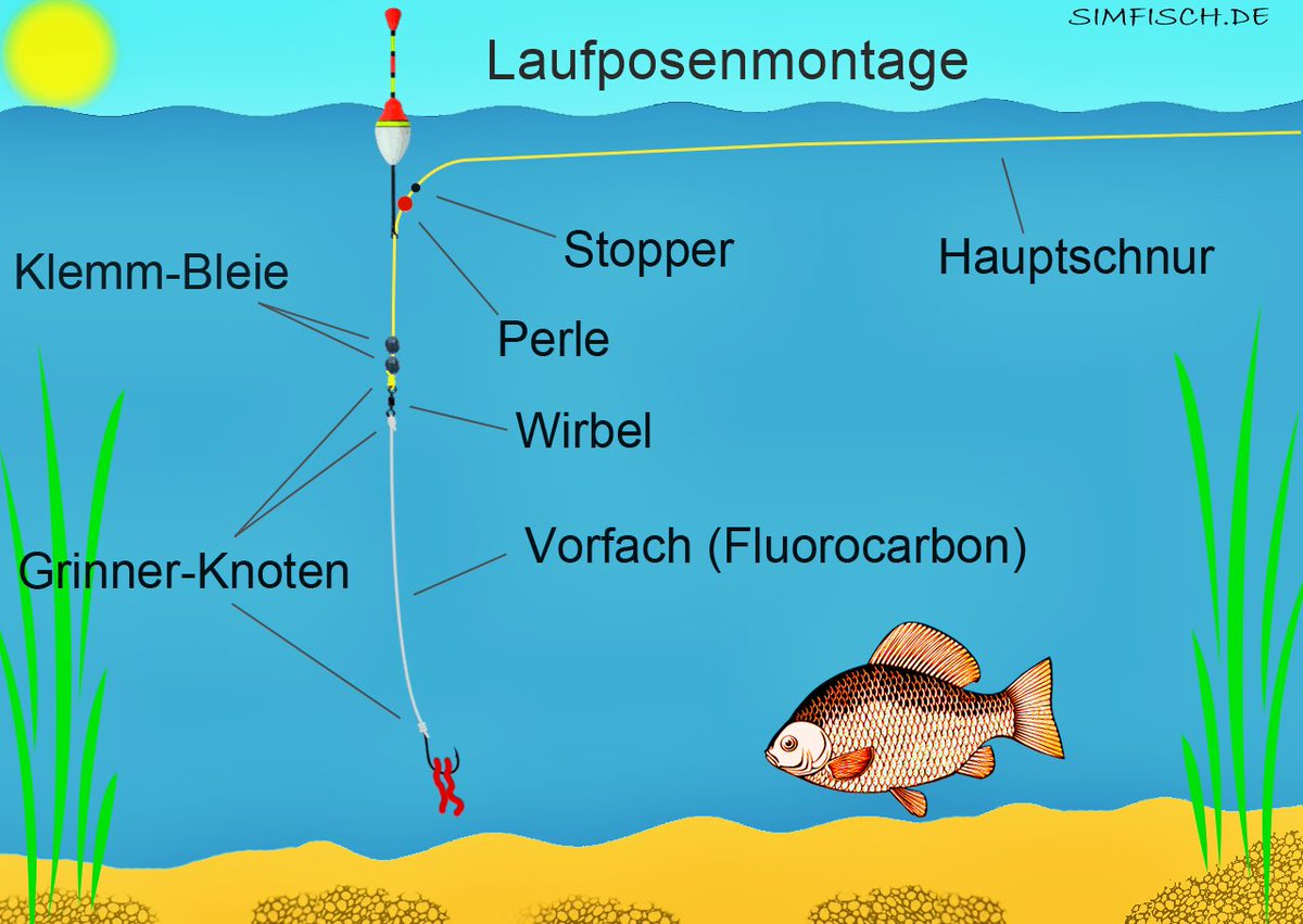 simfisch's tweet photo. Die Laufposen-Montage bietet eine flexible Möglichkeit, die Köderführung an schwierigen aber lukrativeren Angelstellen optimal zu steuern. Mehr Infos: https://t.co/rTZXsfyDqe
#Angeln #Laufpose #Montage #Fischen #Anglerleben #Fischerei #Sportangeln
#Fishing #FloatRig #FishingLife https://t.co/ur3QBDAIPi