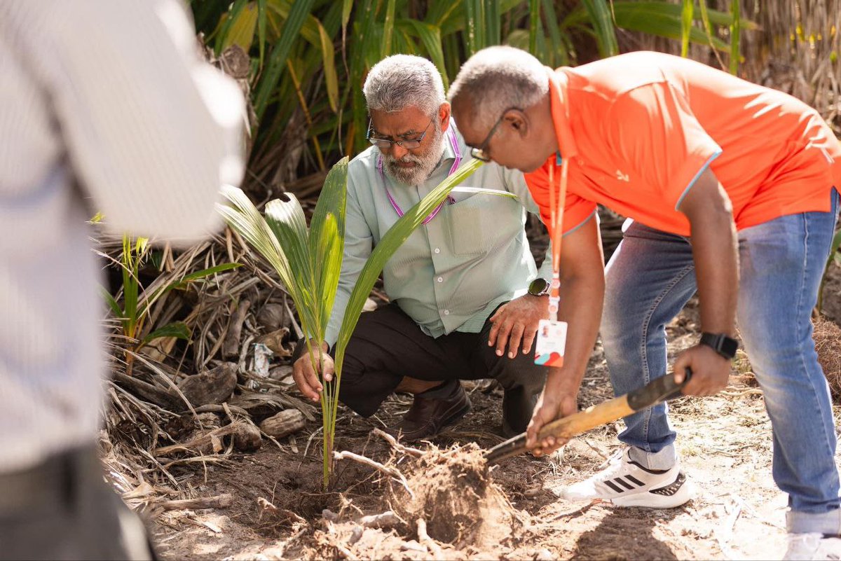 Dhiraagu tweet media