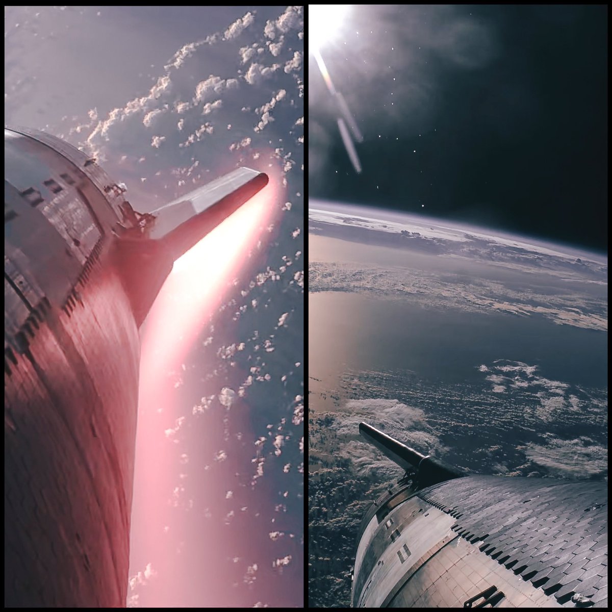 DogeDesigner tweet media