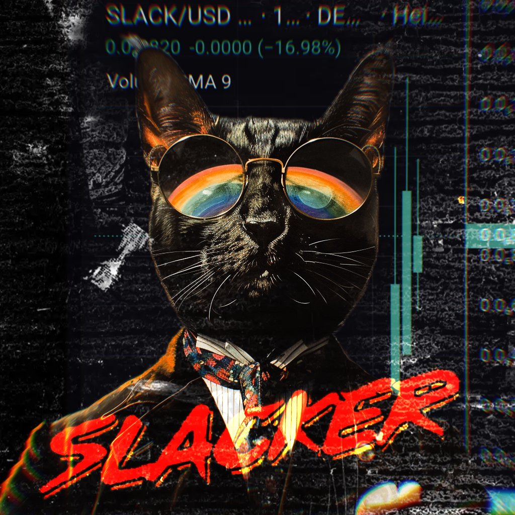 CypherCat tweet media