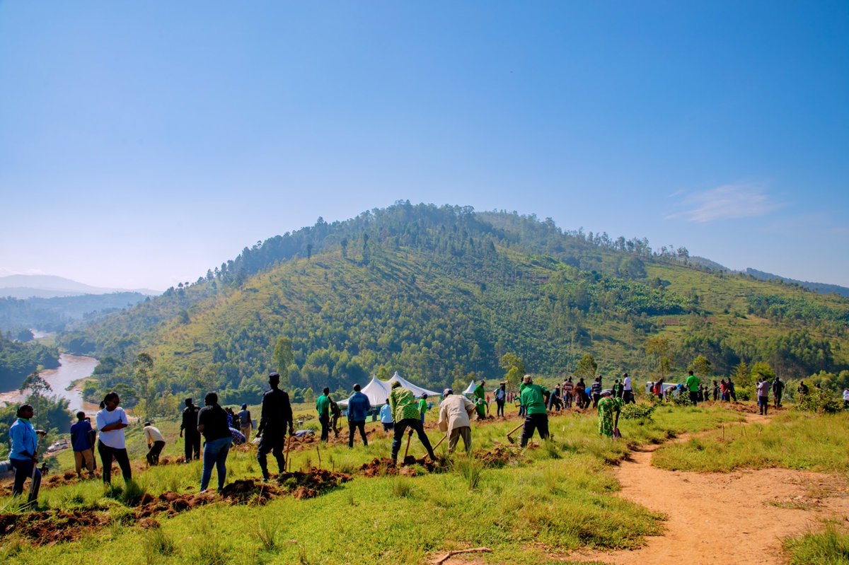 Read this blog by <a href="/uzabeni/">Bernardin.uzayisaba</a> <a href="/UNDP_Rwanda/">UNDP Rwanda</a> to discover #Rwanda’s 30-year journey to environmental resilience. A journey sparked by necessity but steered through determined leadership, engaged communities &amp; strategic partnerships.

👉🏽bit.ly/45a4REV

#WorldEnvironmentDay‌