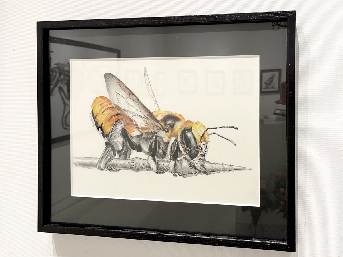 ヴァニラ画廊 on X: 