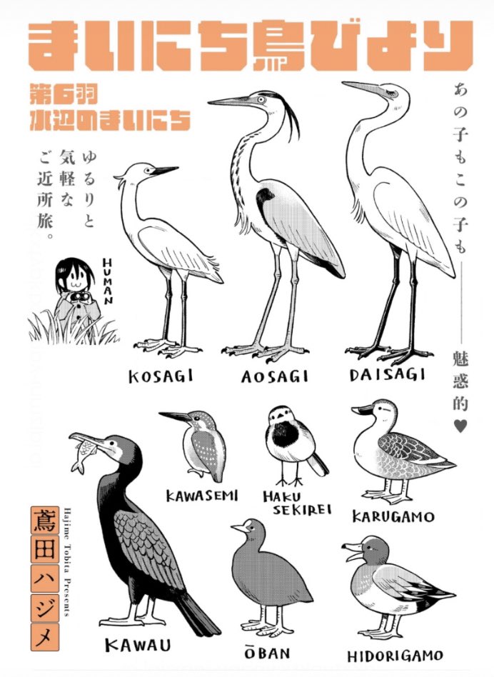 鳥まんが更新されました〜 今回はいろんな鳥たちのまったり4コマ回です。よろしければ〜🐦
https://t.co/TDuGSkhlQh 
