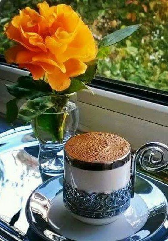 aras017993's tweet image. Ve kahve dediki:
Madem içmeyecektin beni acıma şeker katıp neden karıştırdın içimi..
Güzel Sabahlarınız Olsun ...
GÜNAYDIN..☕️💜