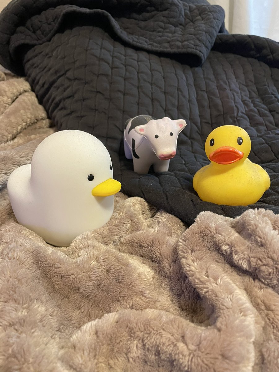 DuckCow4's tweet photo. We r back from the ded and we brought a fřïęñð https://t.co/jVrIr88ZY4
