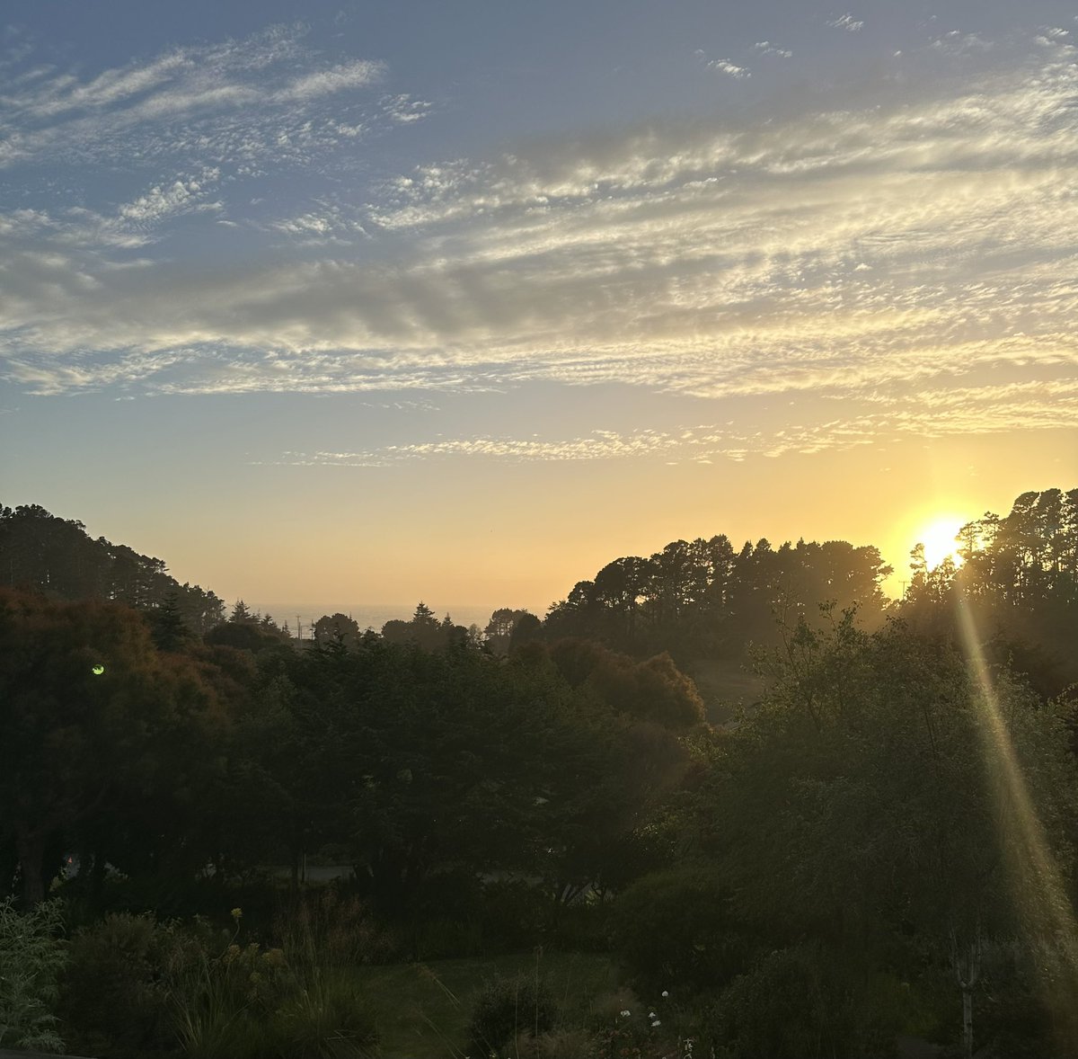 paularadell's tweet image. Hello from the northern California coast. Pass it on.