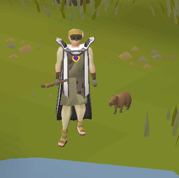 GeneralTapOSRS's tweet photo. Not green-logged, but "functionally complete", which is good enough for me. Was able to get the Kit + Full Outfit at 95 Rumours, so did a quick 5 more for the Enhanced Quetzal Whistle. Will probably never go for pet, so a selfie next to Baby Capy will have to do. 😊 https://t.co/Ii31hy4HNc