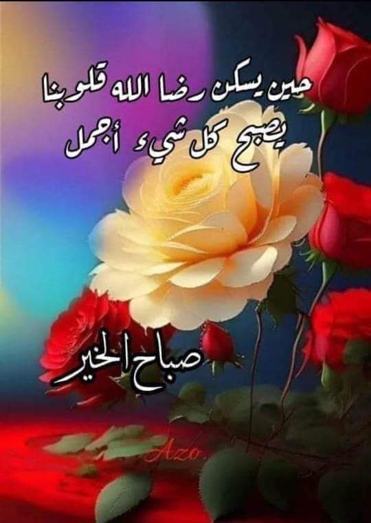 aymanmo45515314's tweet photo. https://t.co/3JlmJprzch