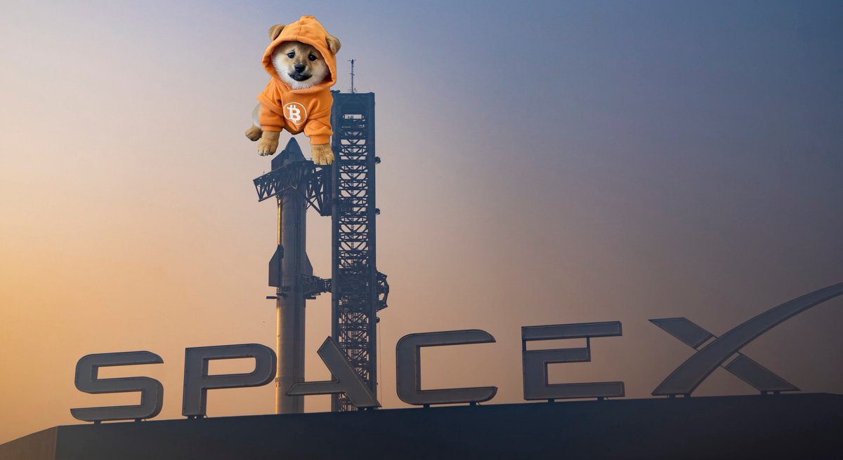 CoinsWeb3's tweet photo. The rumor is $DOG will be on the @SpaceX mission tomorrow! Is it true?? https://t.co/5KA5mvs0nD
