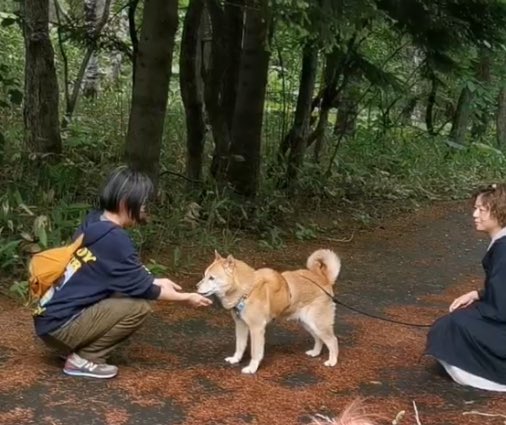 LuckyStar111222's tweet photo. オレのこんがらがったこころ
ゆるんだ。
みんな　すき。 https://t.co/r05TFB8u3p