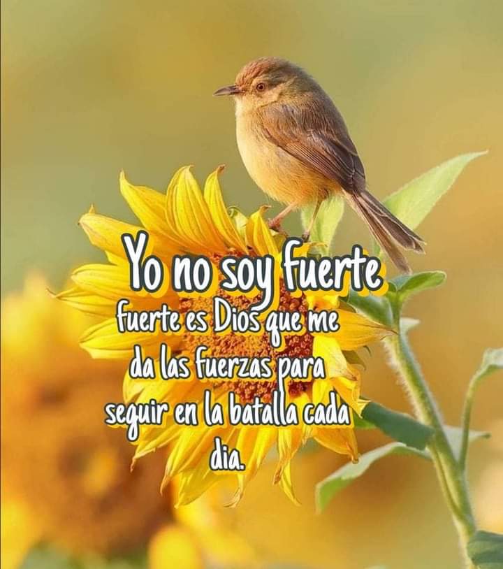 Amén 🙏