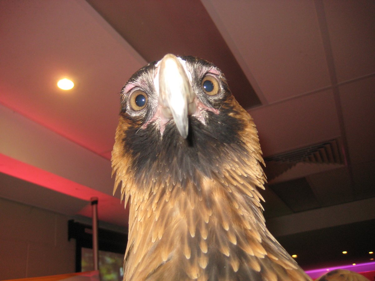 POV: Your manager rosters you on for another shift despite last weekend's chaos...