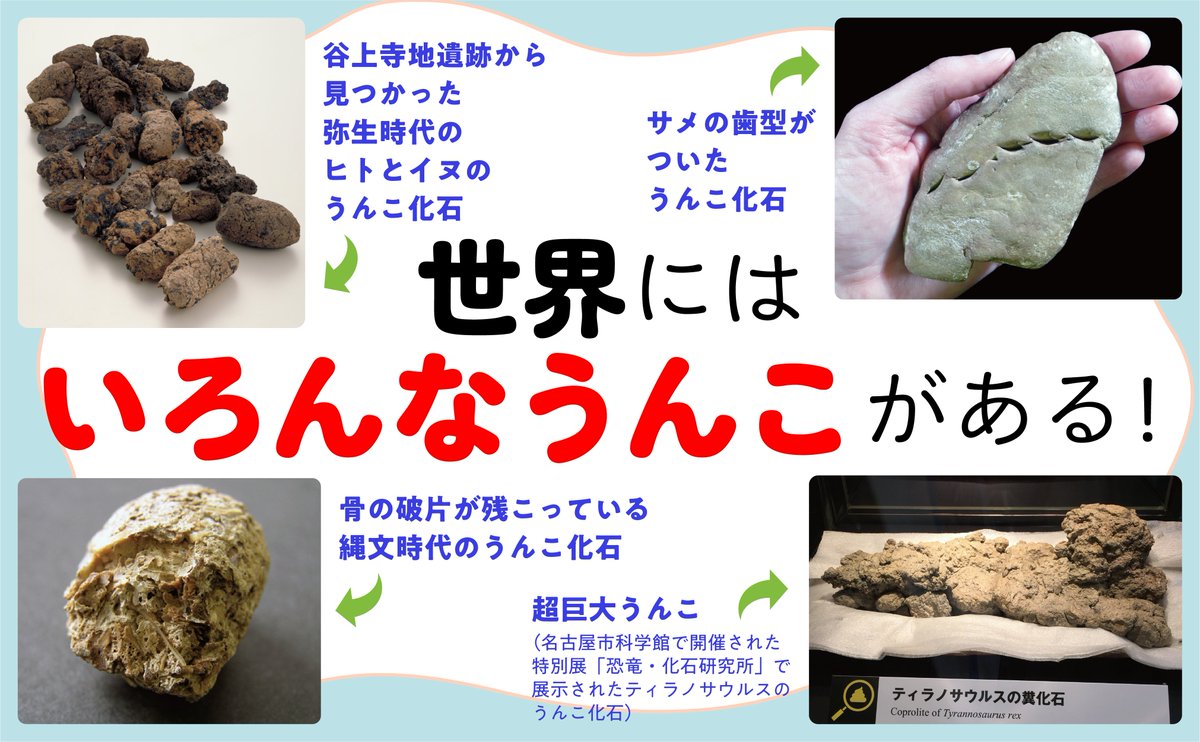 地球と生命の歴史がわかる #うんこ化石』では 💩ラグビーボール大の超