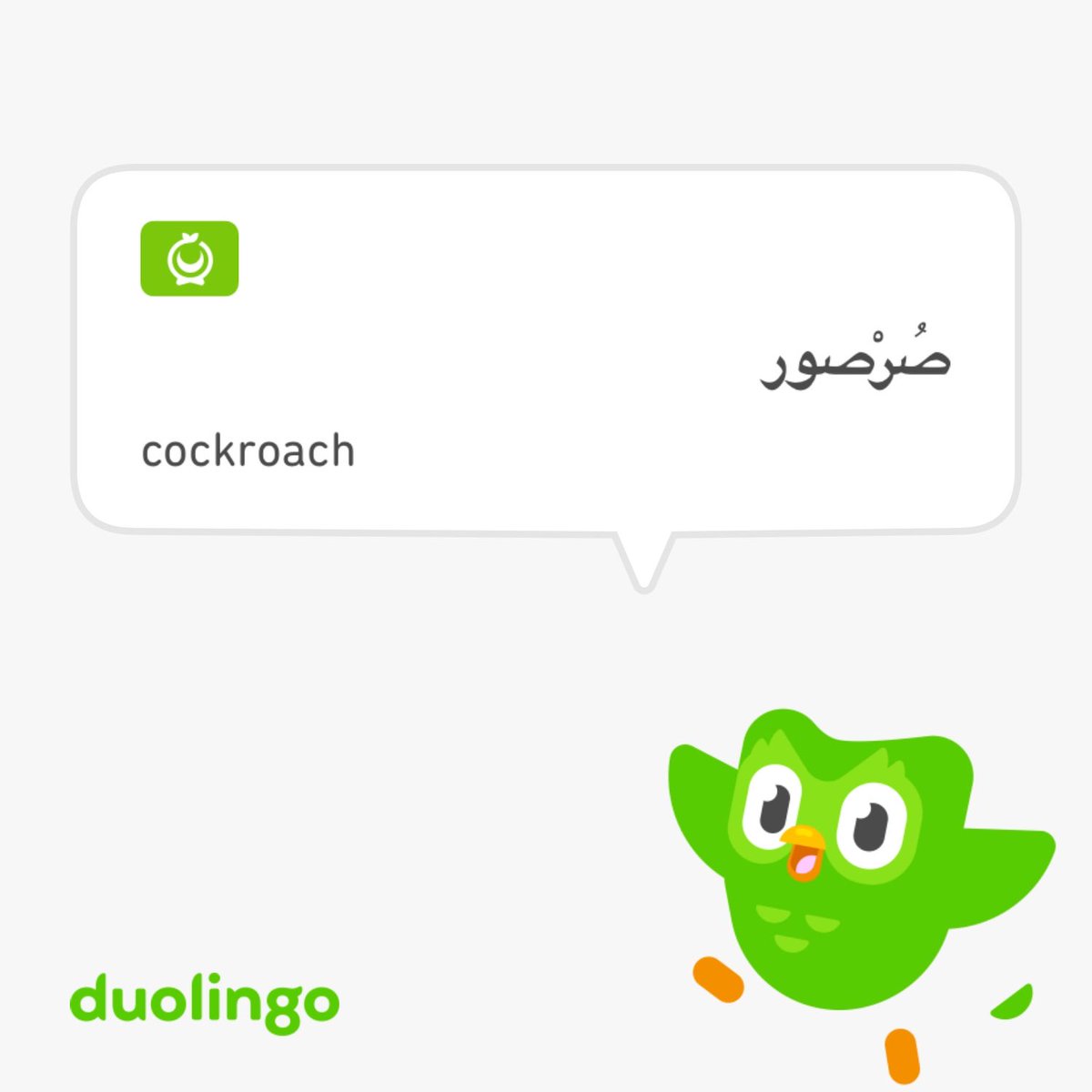 thursiepoo 🇵🇸🇵🇷 (@6odegacat) on Twitter photo 