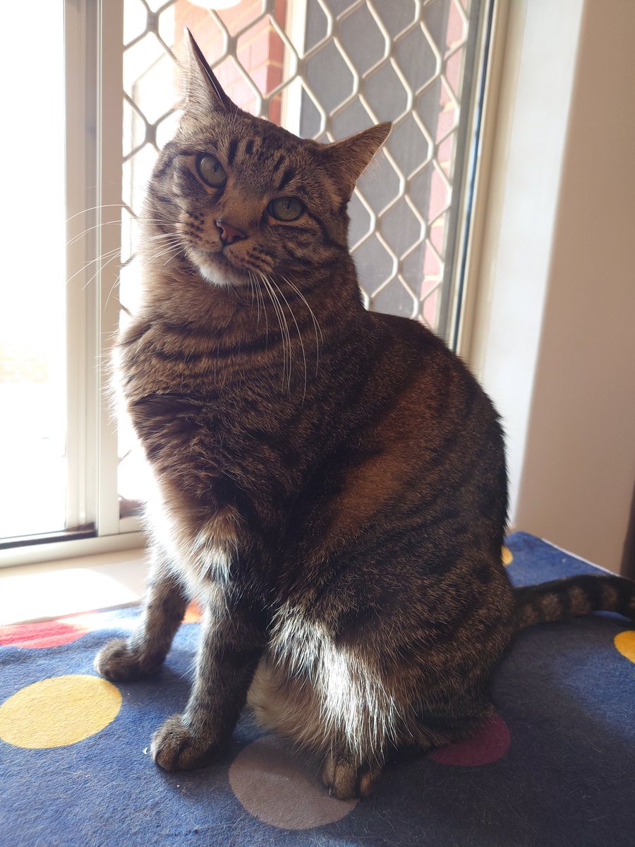 Tal Waterhouse tweet media