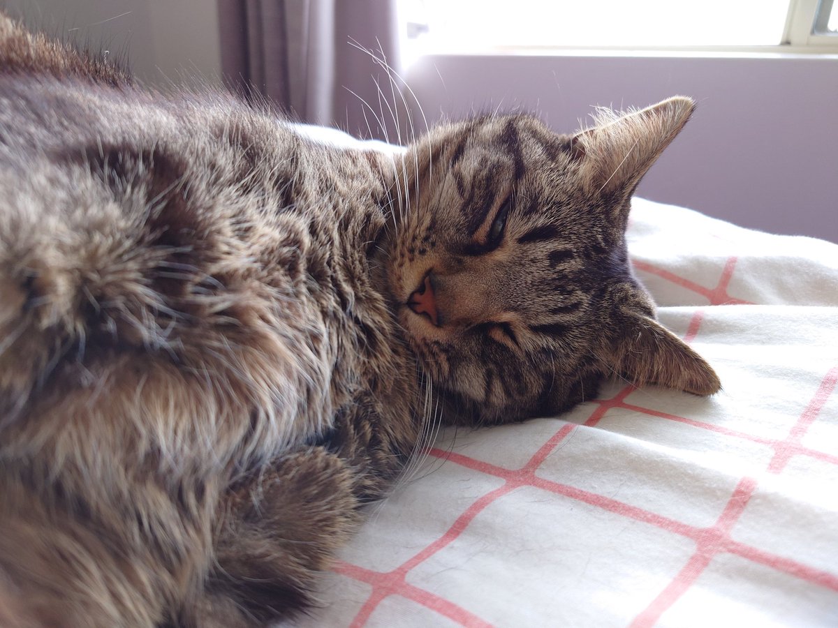 Tal Waterhouse tweet media