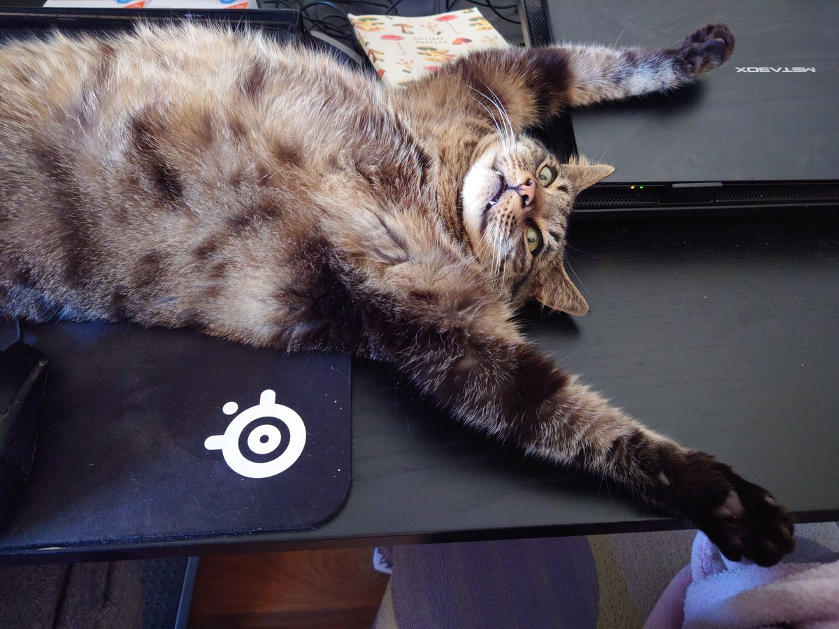 Tal Waterhouse tweet media