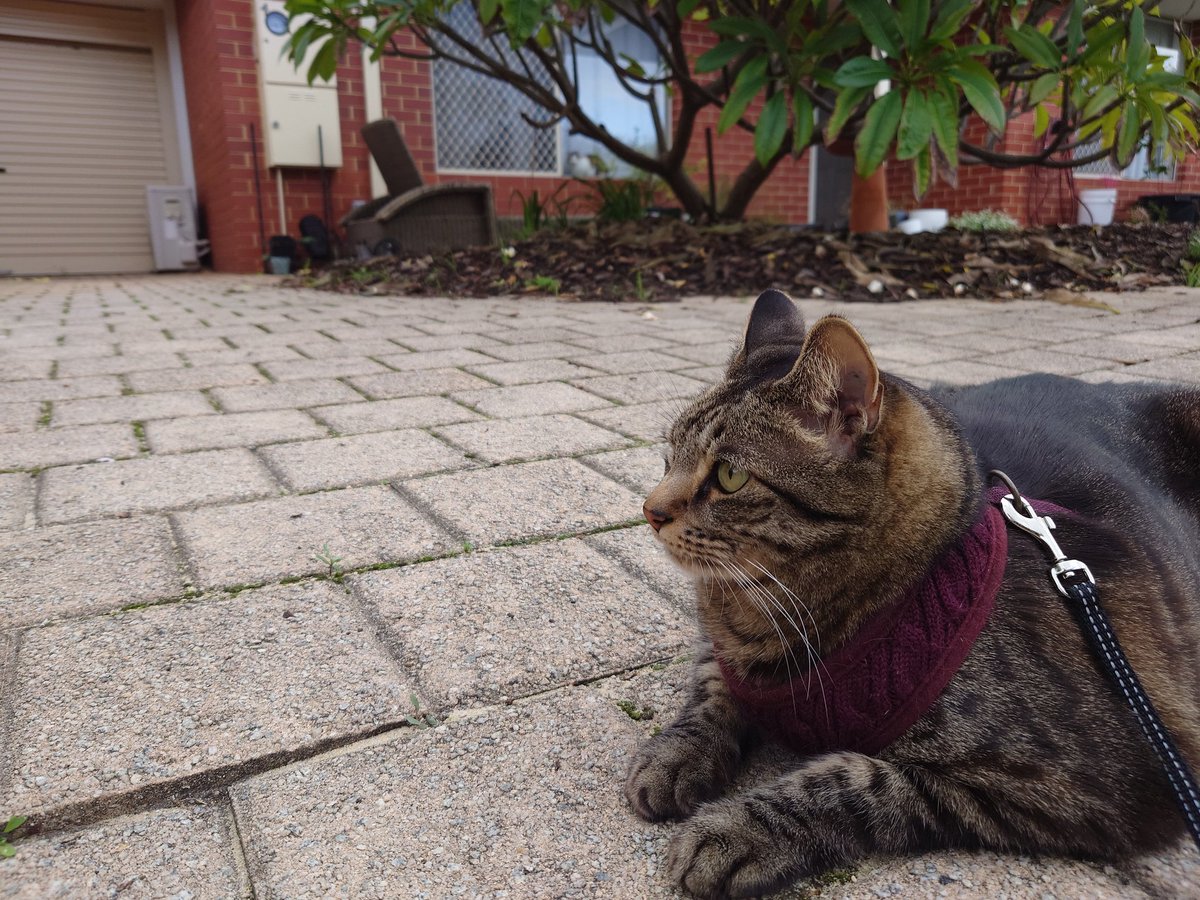 Tal Waterhouse tweet media