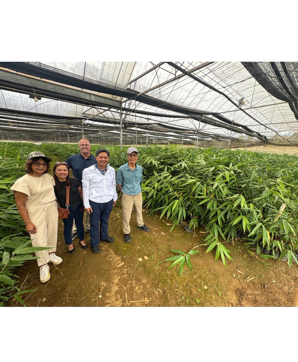 Ces Oreña-Drilon tweet media