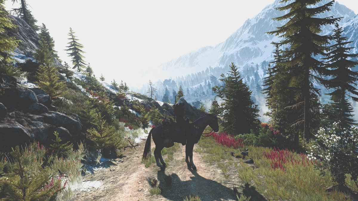 MomosHideout's tweet photo. The Witcher 3: Wild Hunt https://t.co/33QClcivWk