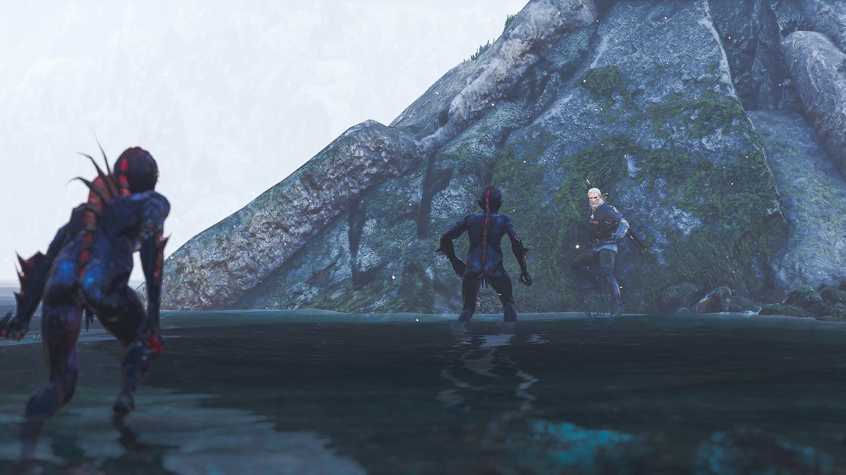 MomosHideout's tweet photo. The Witcher 3: Wild Hunt https://t.co/33QClcivWk
