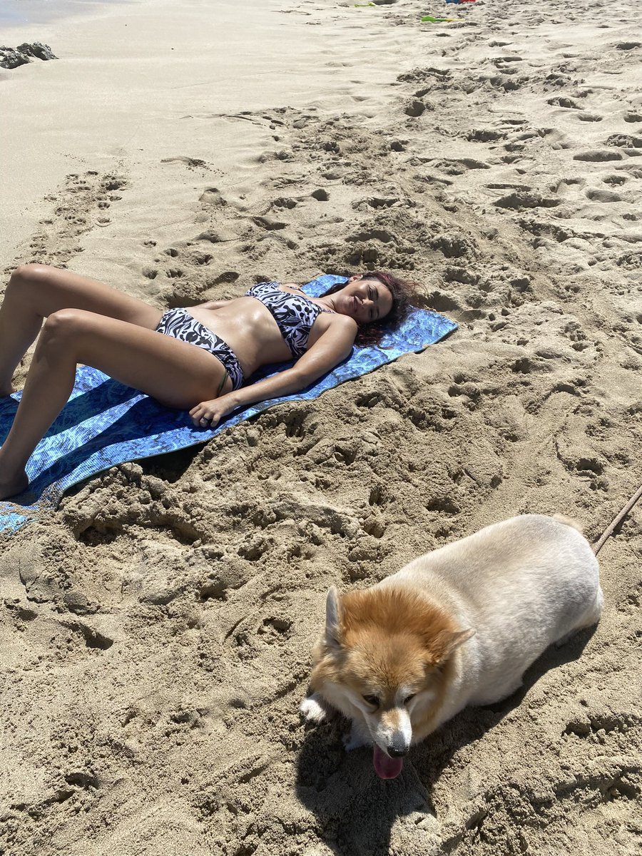 StellaIsSoBella's tweet photo. I had a great time relaxing on Labor Day in Ewa Beach on the sandy shore! #Corgi #HawaiianDogs #XPets #WelschCorgi https://t.co/TxJpkdEGkB