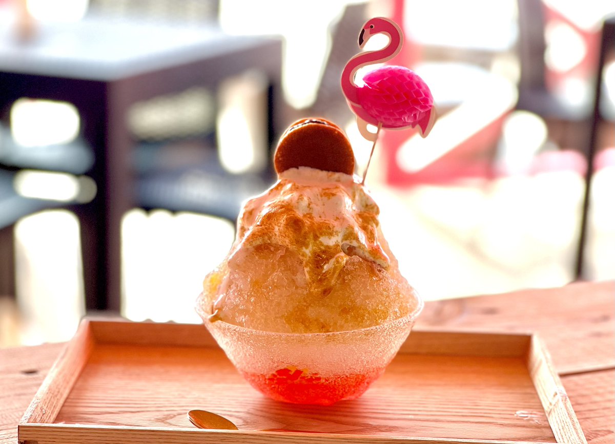 PINK FLAMINGOはかき氷のお店です✨ 島谷ひとみさんがプロデュースして