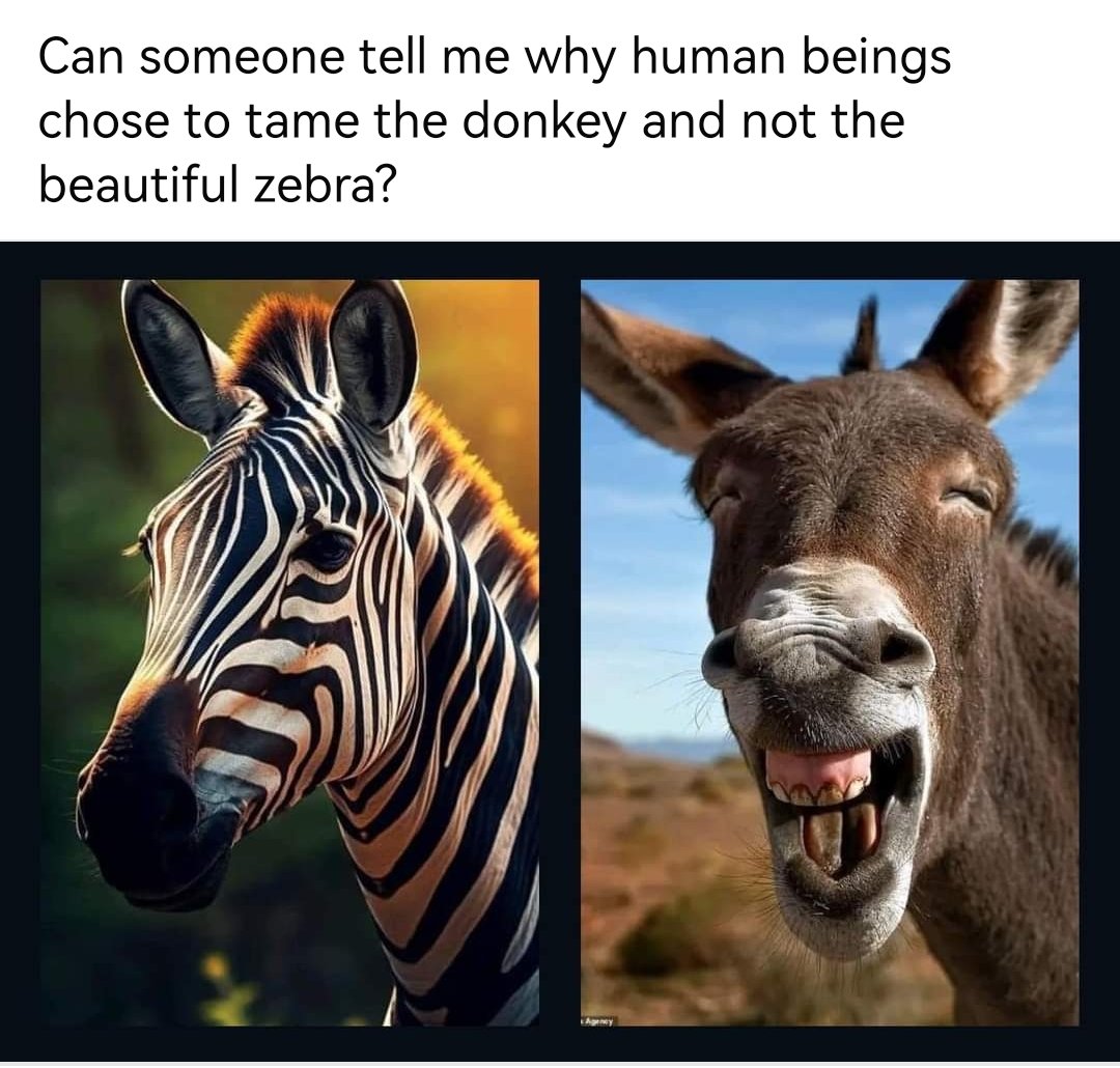 munodawafachris tweet media