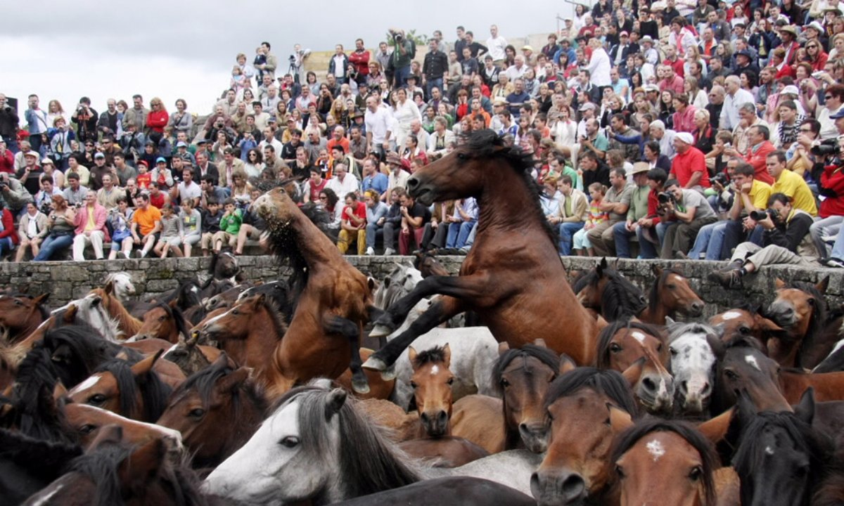 Nick O'Brien tweet media