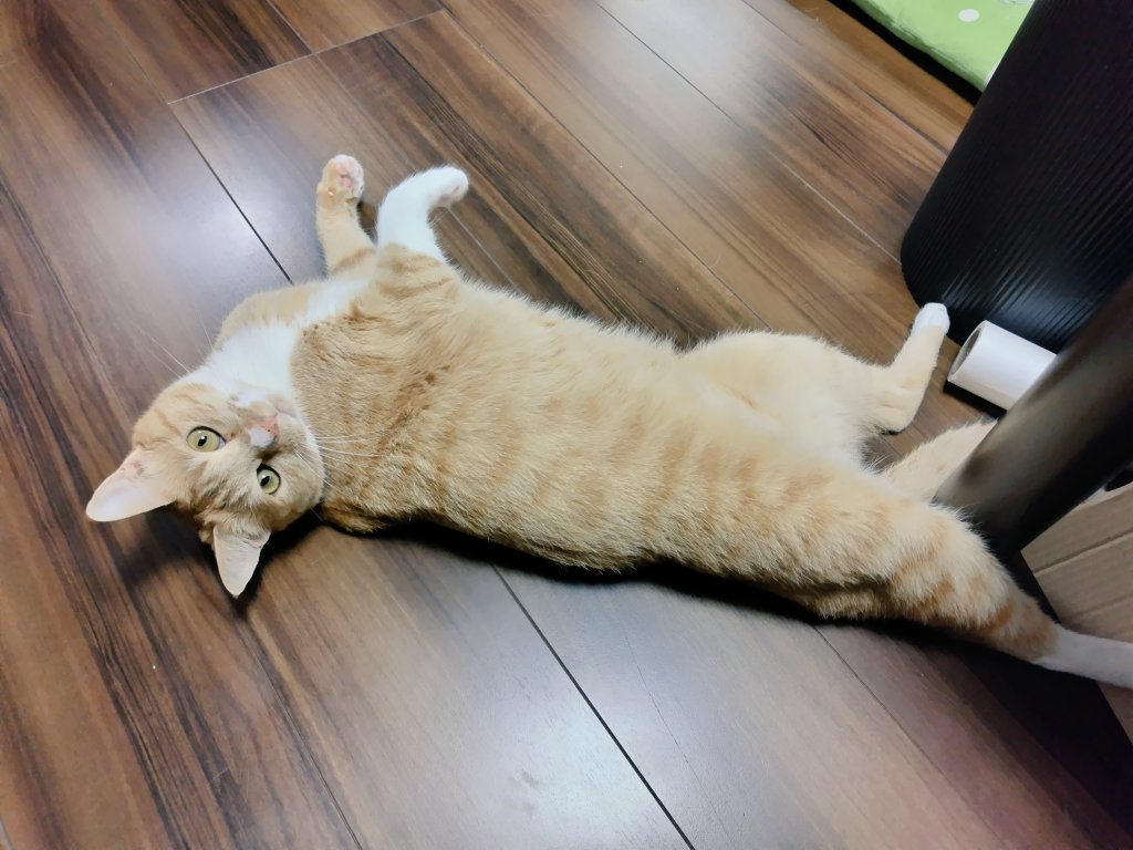 足開いてるよー！