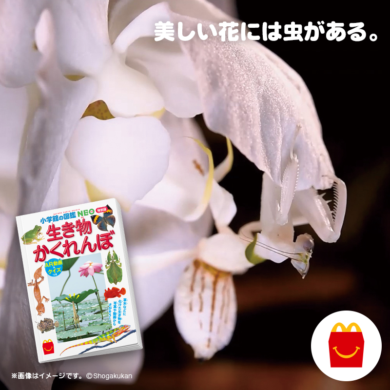 きれいなお花〜 と思ったら要注意！ 実は昆虫がかくれんぼしているん