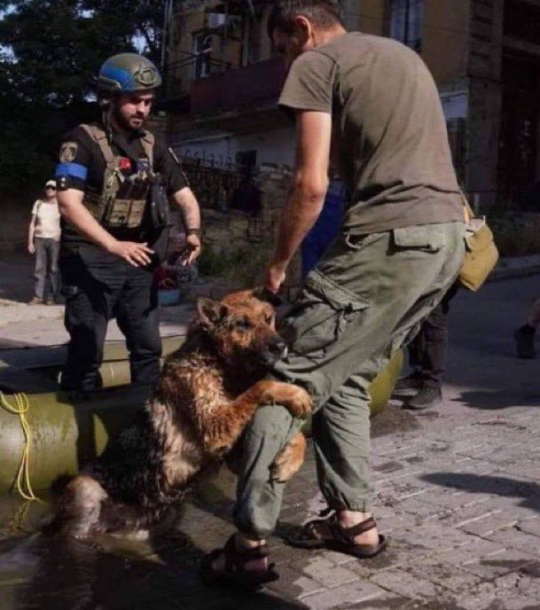1 year since Russia decimated an entire city by destroying Nova Kakhovka Dam in Kherson.

1 year since people who did this not been punished.

1 year since ecological mass destruction under international law been forgotten.

World didn’t do enough, and it could happen again.