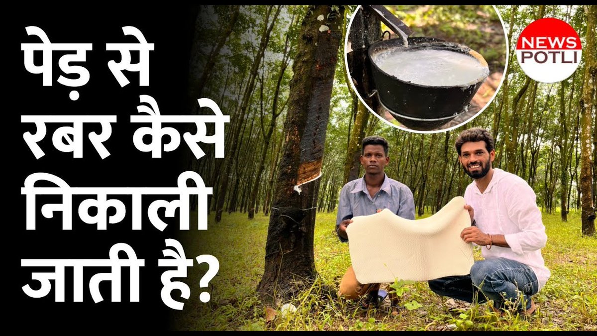 NewsPotliEng's tweet image. Rubber is an integral part of our lives, used in many daily items. Do you know how it's made? In India's northeastern states, especially Assam, farmers like Arjun cultivate rubber trees. 

watch video: youtu.be/-8LUw-BvEr4

 #RubberProduction #SustainableFarming #NewsPotli
