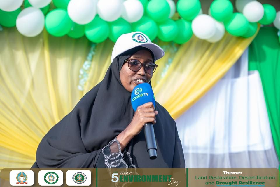 EnvsSNU's tweet photo. We celebrated #WorldEnvironmentDay at @Somali_NU. The rector, dean, professors, and students gave inspiring speeches on ways we can all protect the planet. Key takeaways: reduce waste, use renewable energy, plant more trees. Let's work together to create a sustainable future!🌿 https://t.co/FPG7mxRNpF