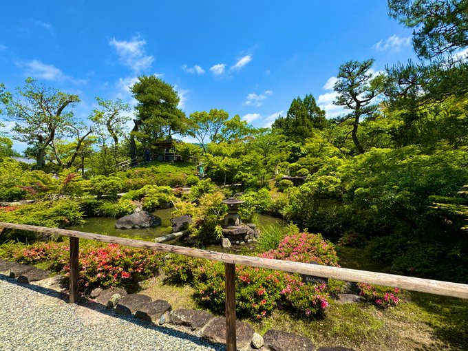 🌱✨ https://t.co/uYFQN24fWZ