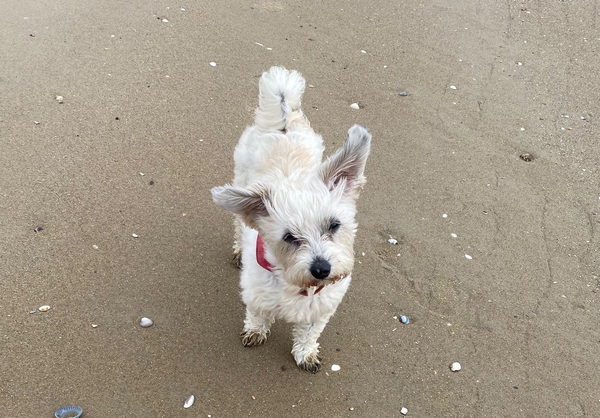 Sandra 🚴‍♀️⚽️ 🏃‍♀️ tweet media