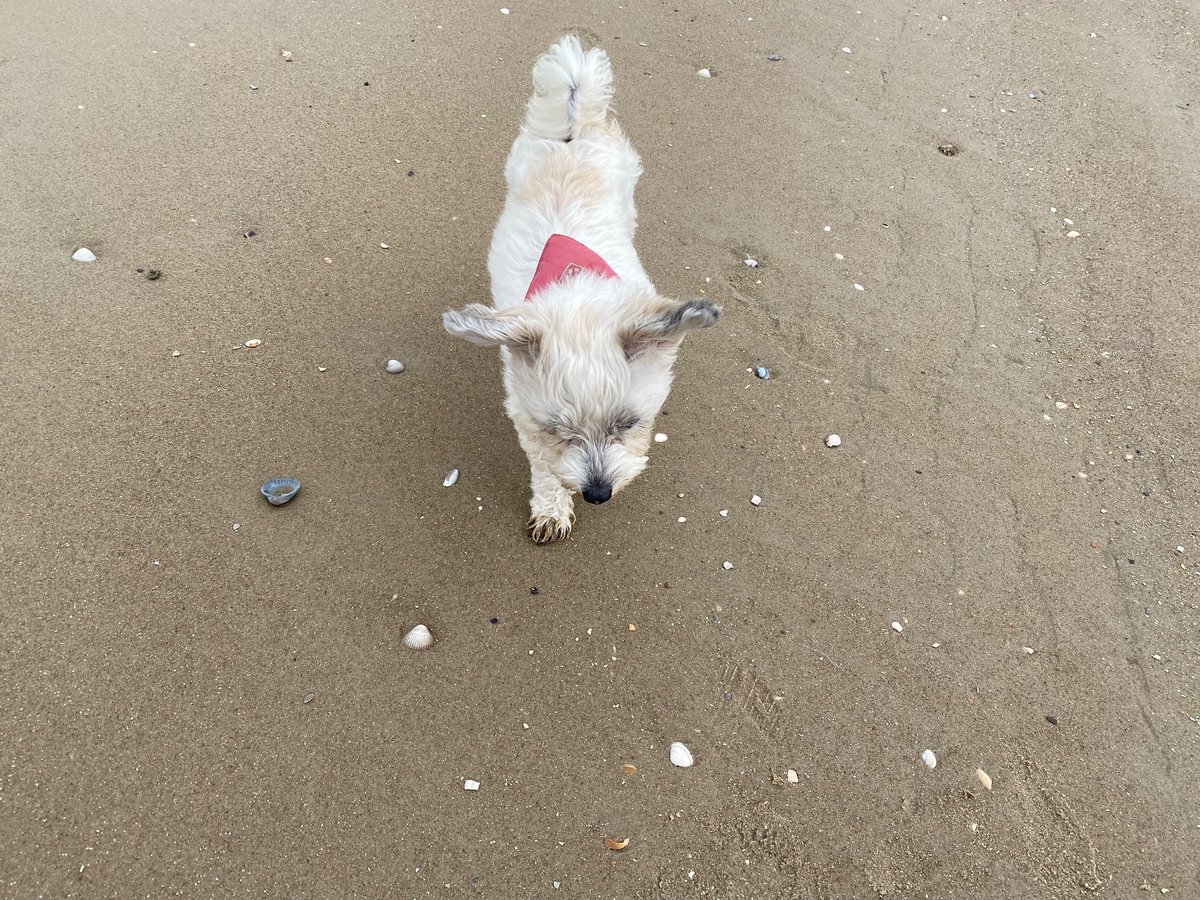 Sandra 🚴‍♀️⚽️ 🏃‍♀️ tweet media