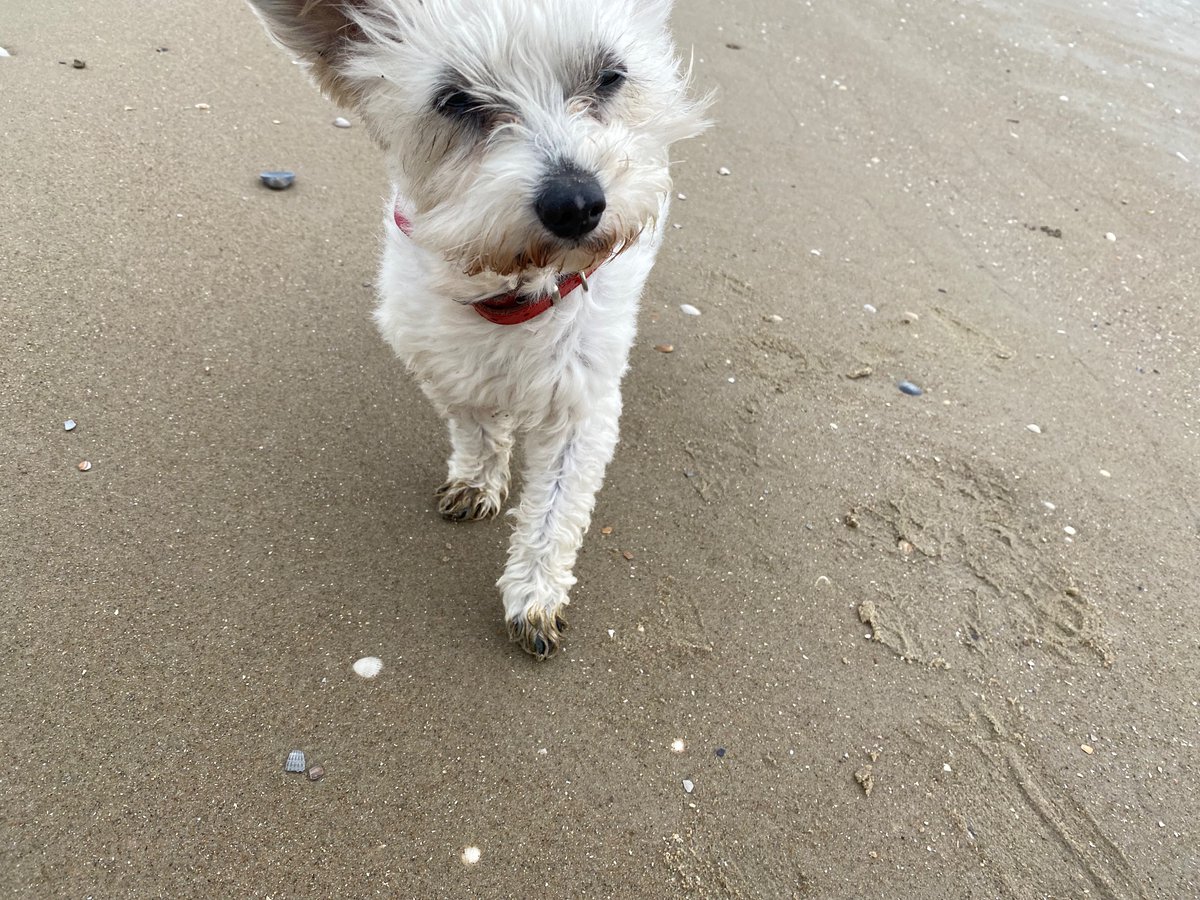 Sandra 🚴‍♀️⚽️ 🏃‍♀️ tweet media