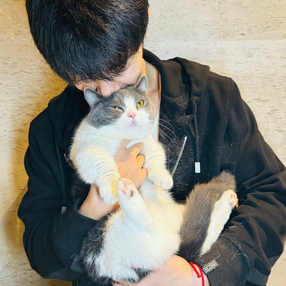 หล่อจนเบลอ เหนละเอ็นดู๊❤️🐰

#XiaoZhan #肖战 #เซียวจ้าน