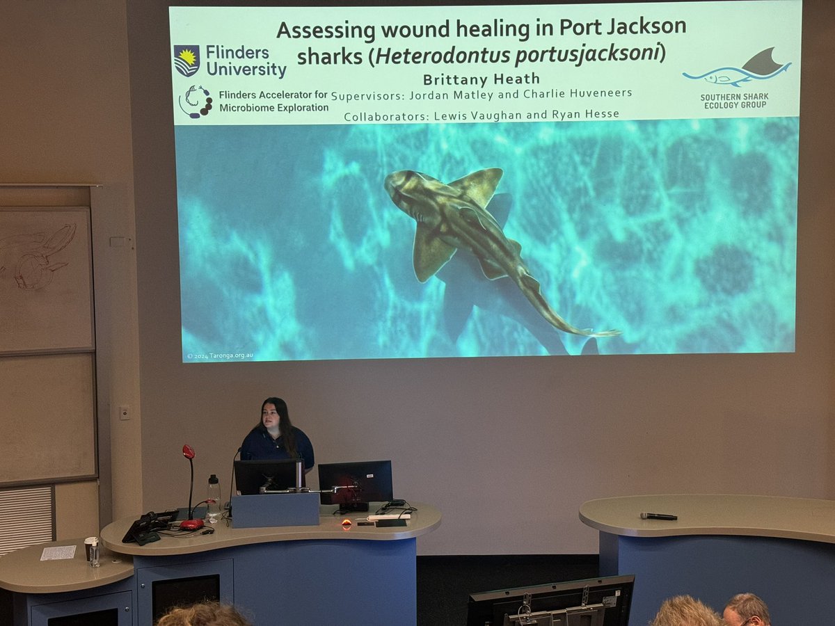 itsbrttnyhth's tweet photo. Final honours presentation talk done ✔️ thesis to go 🦈 https://t.co/wpB4mdaOC8