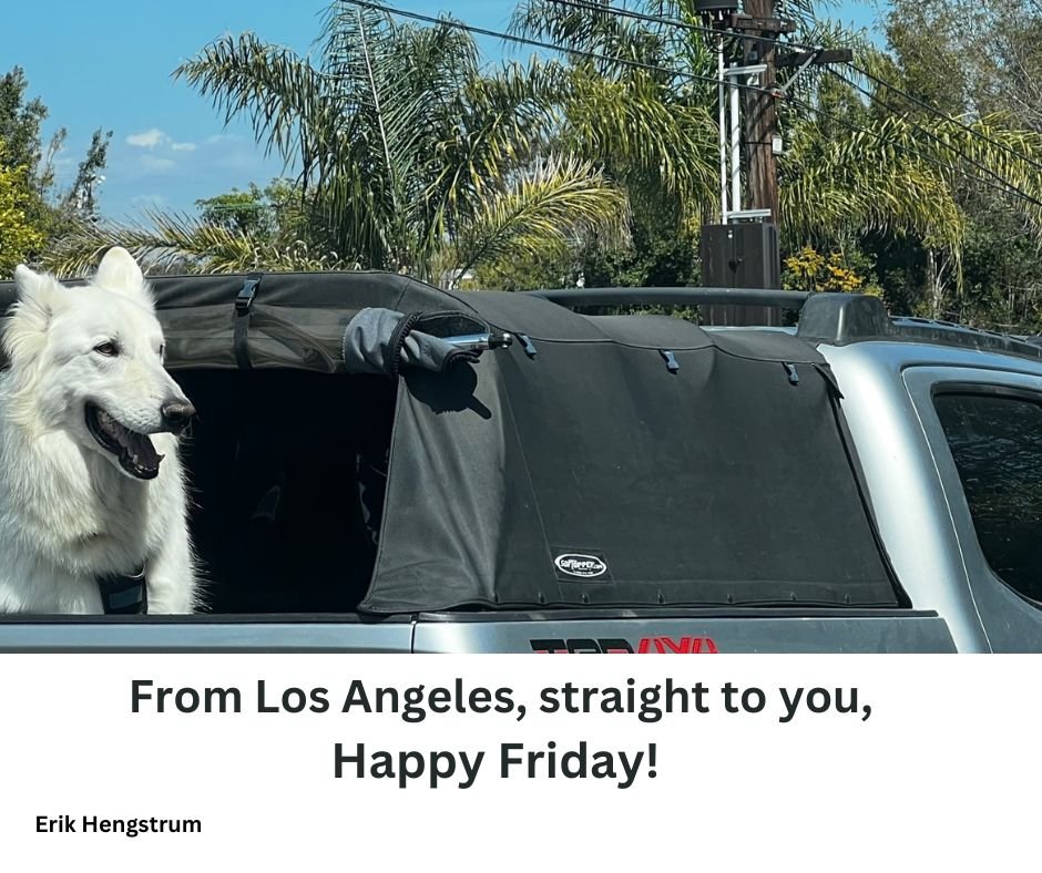 AuthorErik's tweet image. #fridaymoods #puppyfarm #fridayfreeforall #weekendtwitter #readercommunity