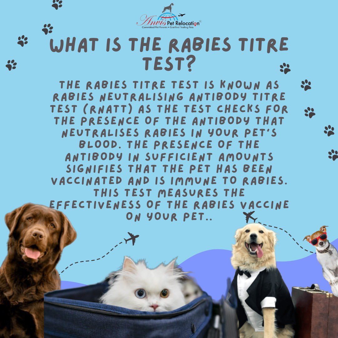 anvisinc's tweet photo. #Anvis #PetParadise #BengaluruPetBoarding #PetBoarding #PetRelocation #rabies #rabietitertest #vaccination https://t.co/1V0W9JkZw0