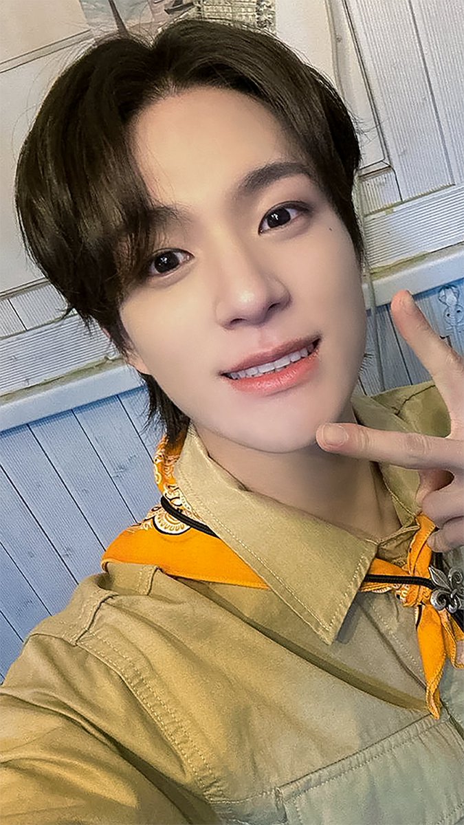 코기 tweet media