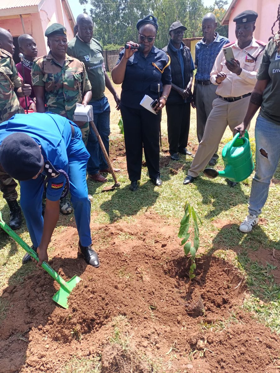 Abbieauma's tweet photo. #Generationrestoration
#WorldEnvironmentDay‌2024 https://t.co/1TsTvGVVA5